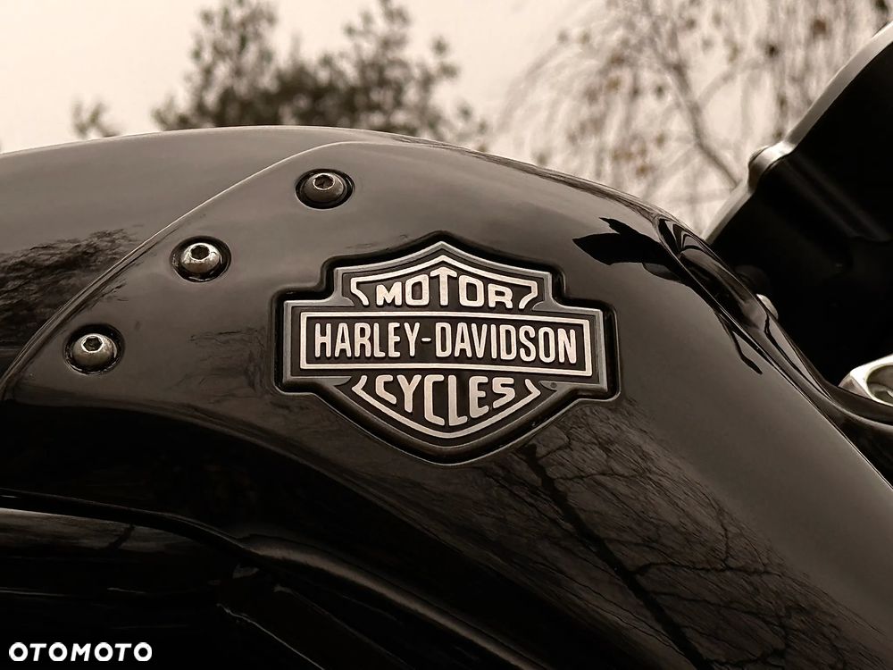 Harley-Davidson V-Rod Muscle - 23