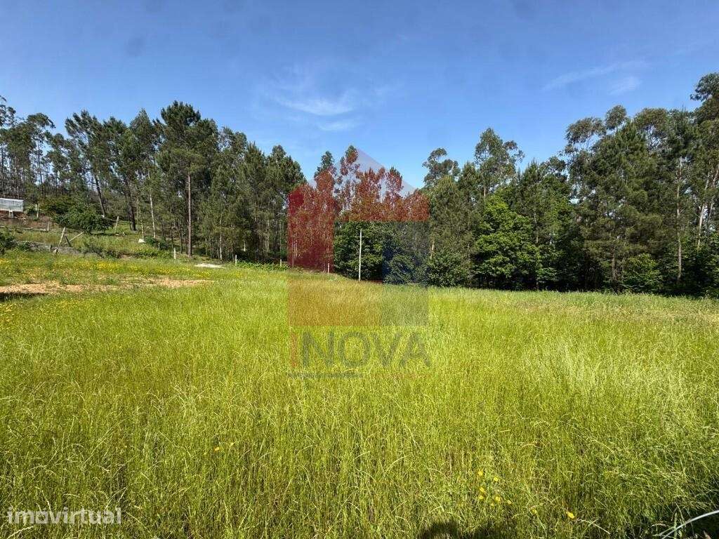 Terreno com Projeto Aprovado, Cervães - Grande imagem: 3/18