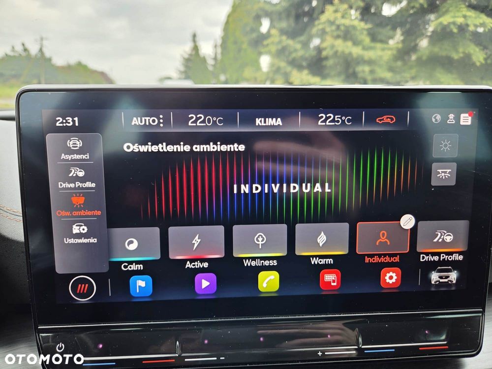 Cupra Formentor 1.5 TSI DSG Tribe Edition - 17
