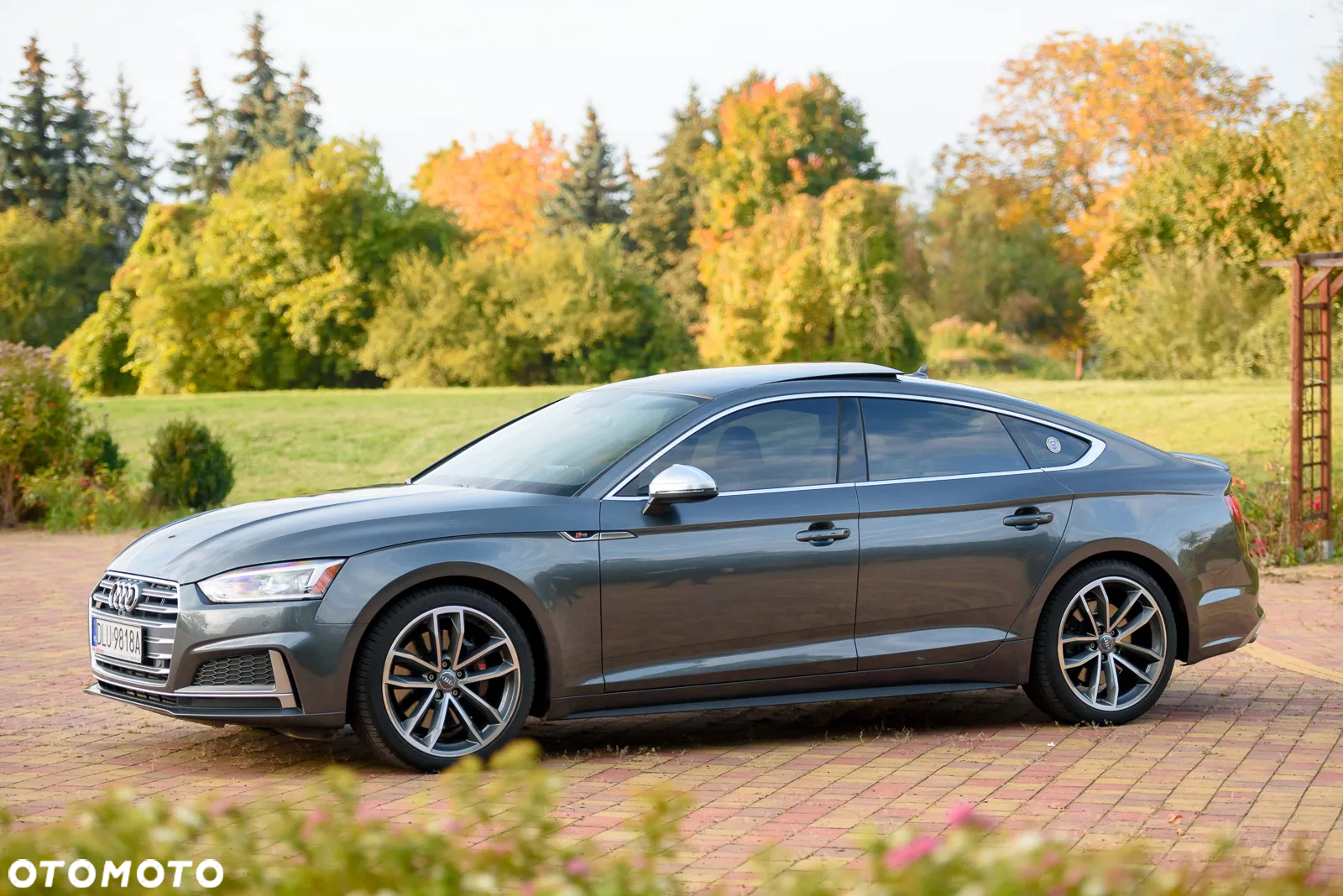 Audi S5 3.0 TFSI Quattro Tiptronic - 5