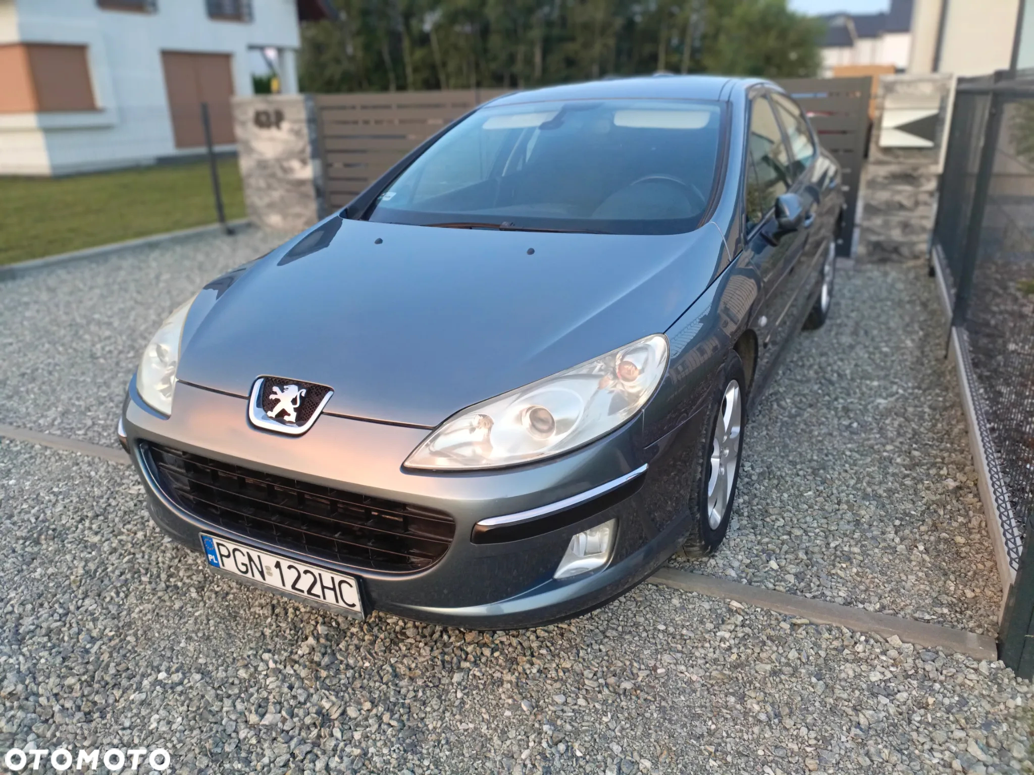Peugeot 407 - 3