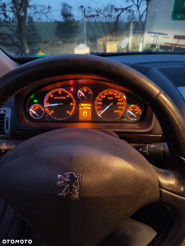 Peugeot 407 - 6