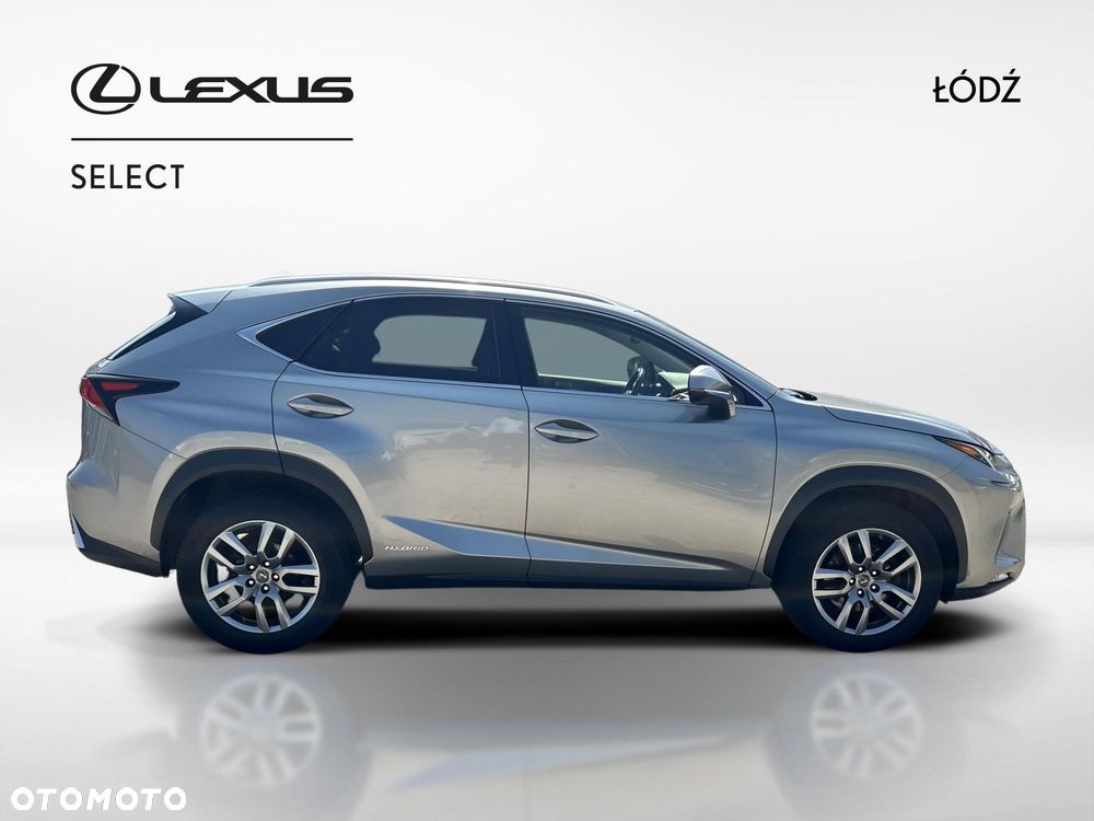 Lexus NX 300h Business Edition AWD - 7