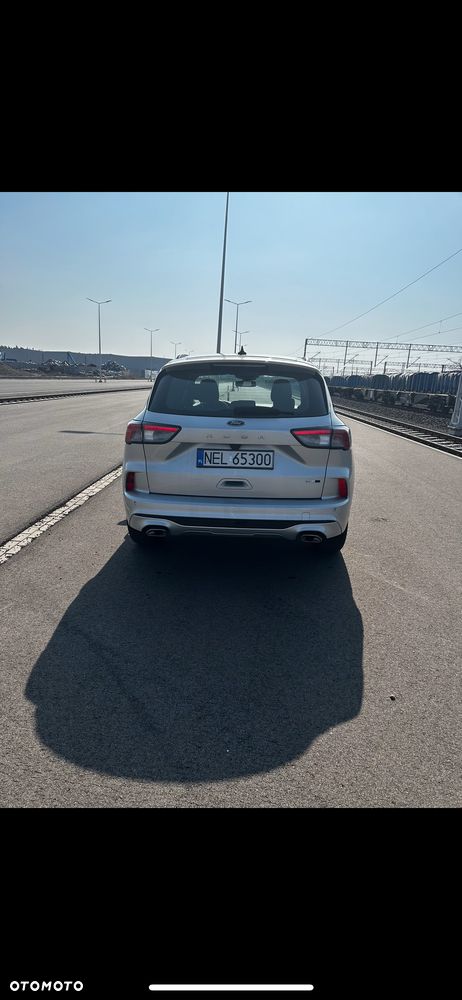 Ford Kuga 2.0 EcoBlue Hybrid ST-LINE - 12