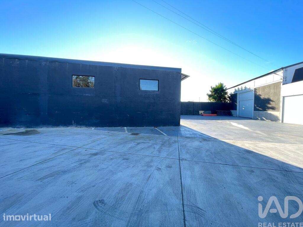 Hangar em Manhente de 705,00 m2 - Grande imagem: 2/16