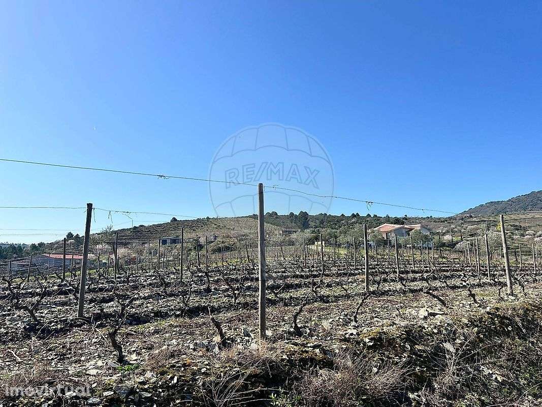 Terreno  para venda - Grande imagem: 3/17