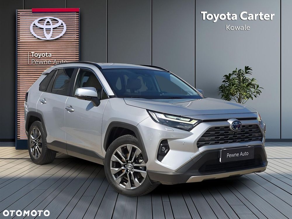 Toyota RAV4 2.5 Hybrid Executive 4x4 - 8