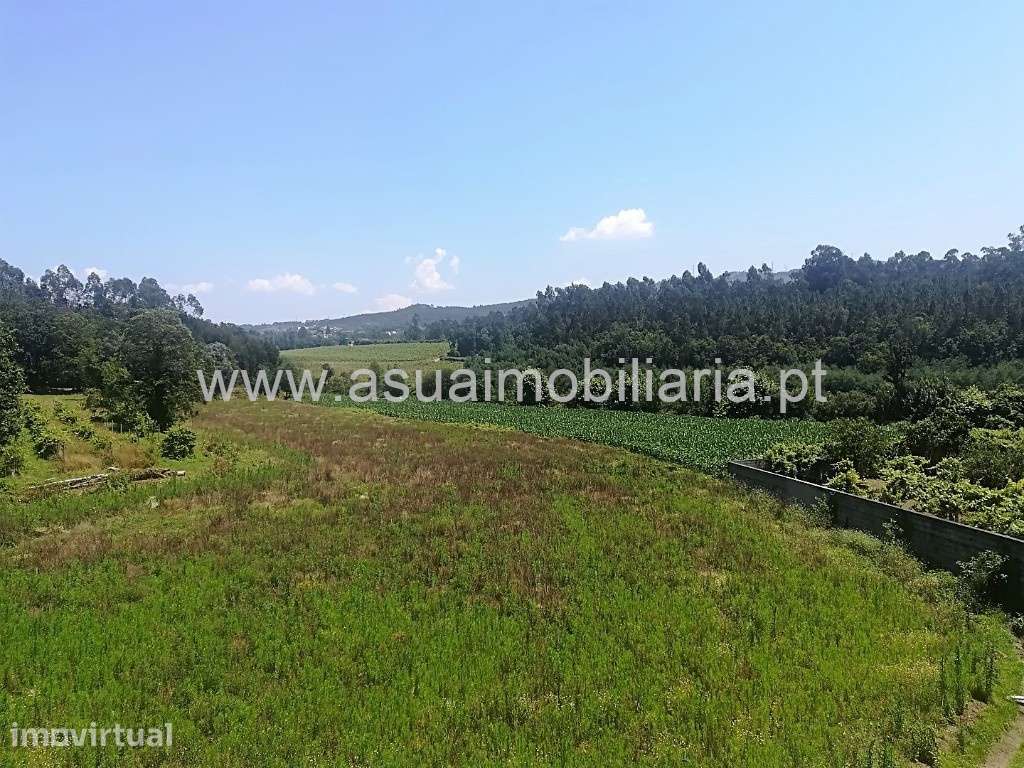 Terreno Agrícola - Prozelo - Grande imagem: 2/4
