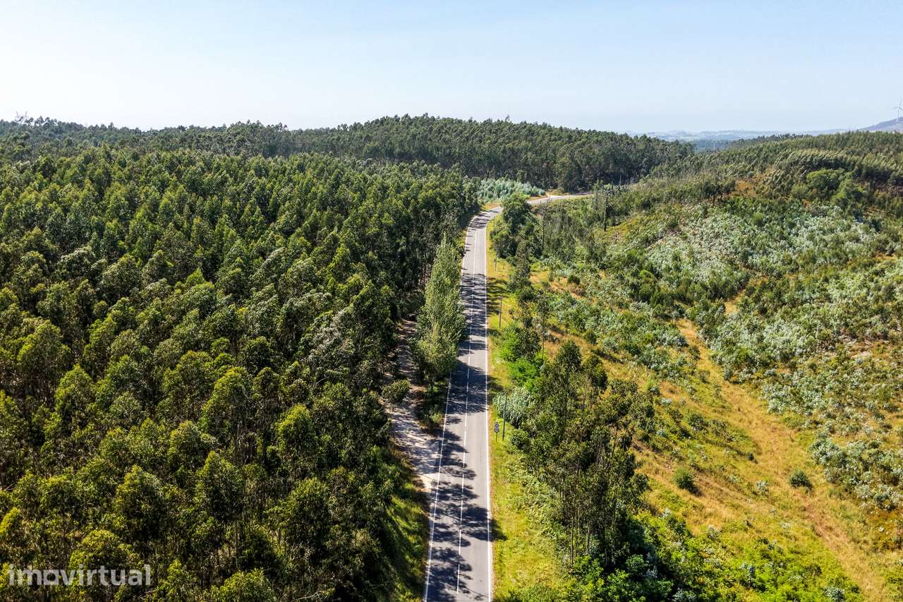 Propriedade rural com construções tradicionais para reabilitar | Cadav - Grande imagem: 3/15