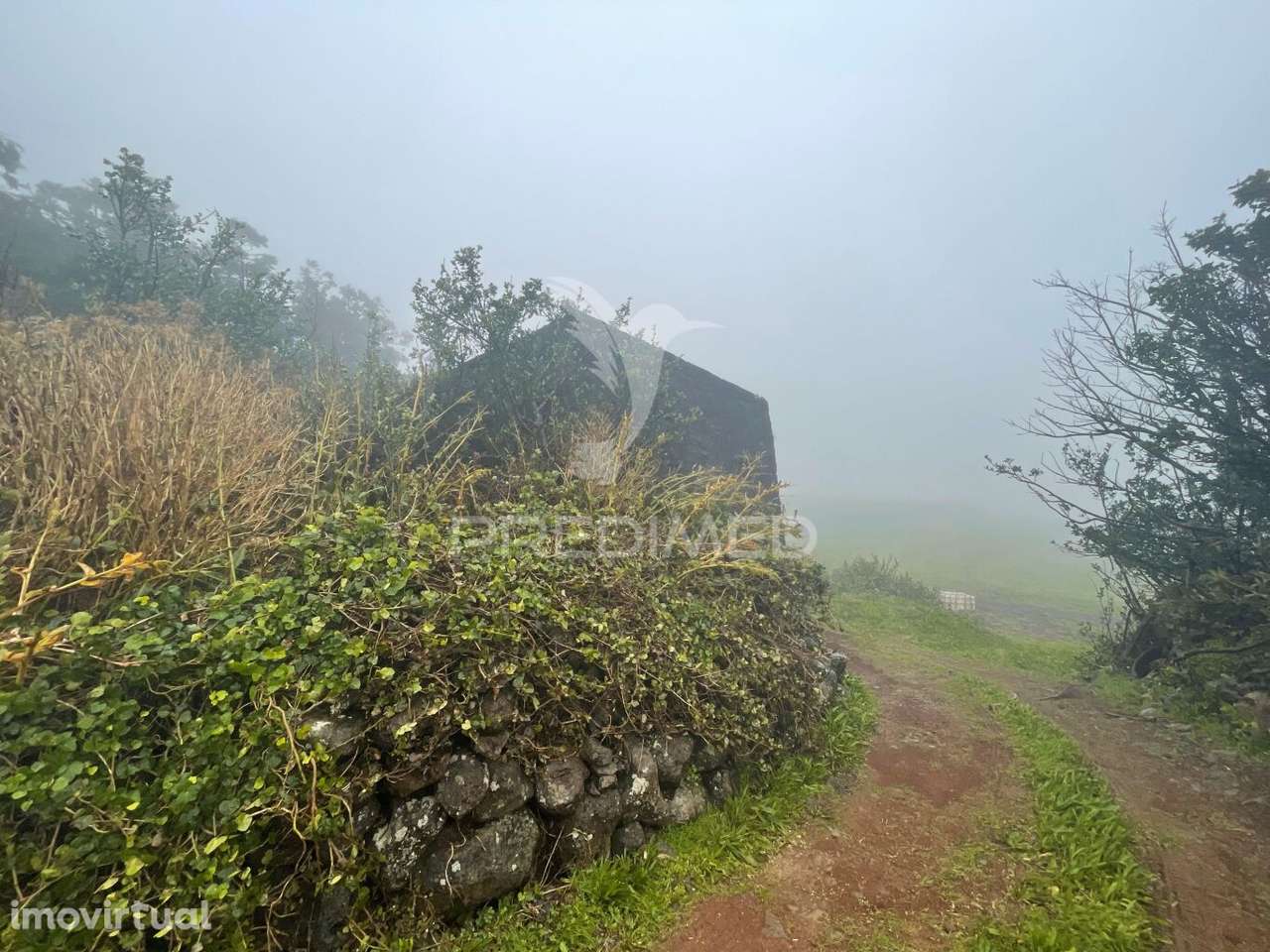 Moradia T2 - São Tomé - Grande imagem: 5/27