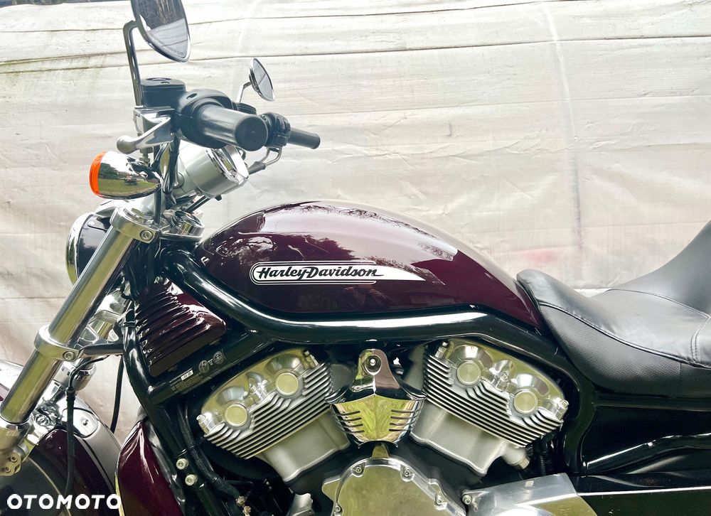 Harley-Davidson V-Rod Street Rod - 7