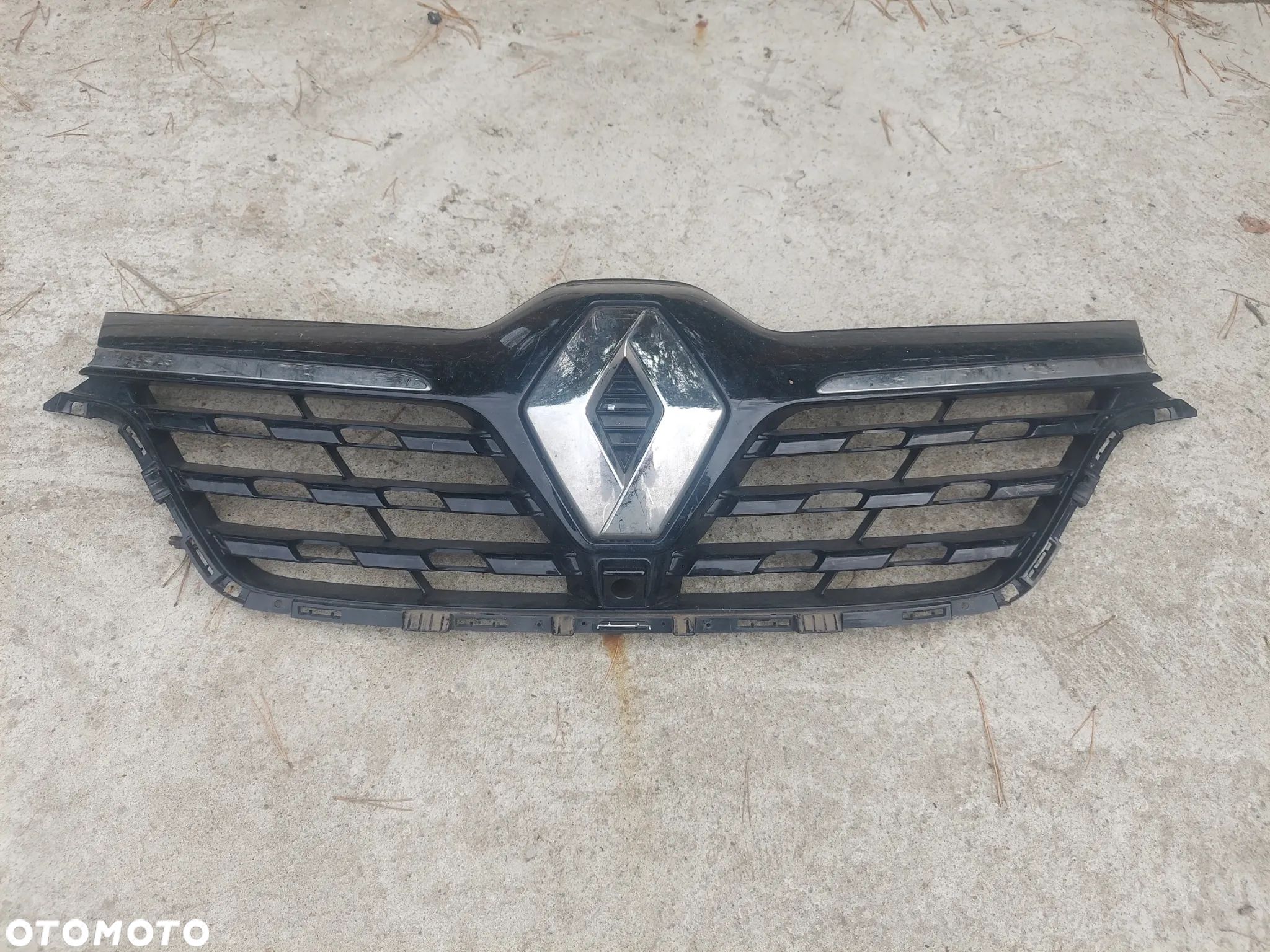 Renault arkana grill atrapa pod kamerę - 1