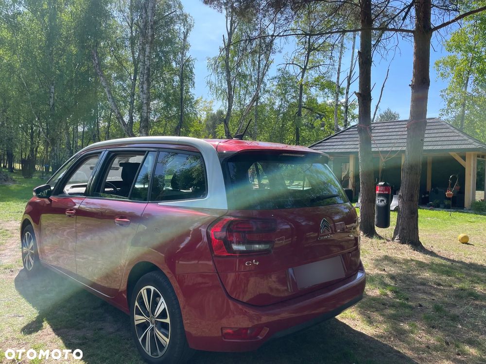 Citroën C4 Grand Picasso - 7