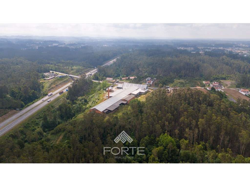 Armazém destinado a indústria, São João de Ovar - Grande imagem: 5/37