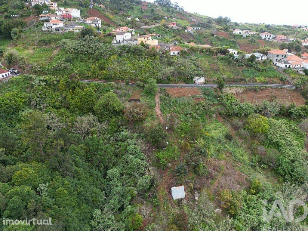 Terreno em Arco de São Jorge de 6820,00 m2 - Grande imagem: 4/11