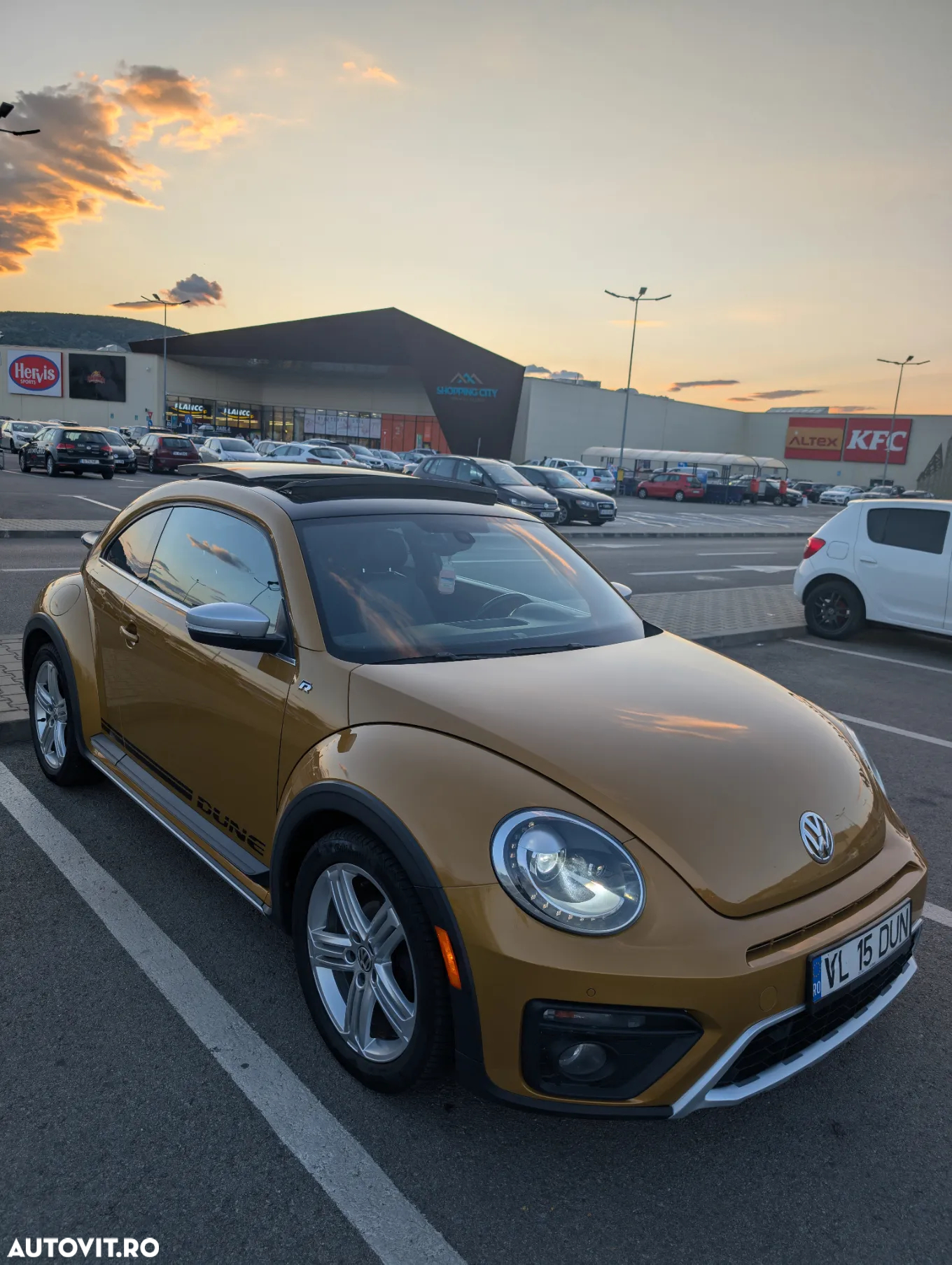 Volkswagen Beetle - 3