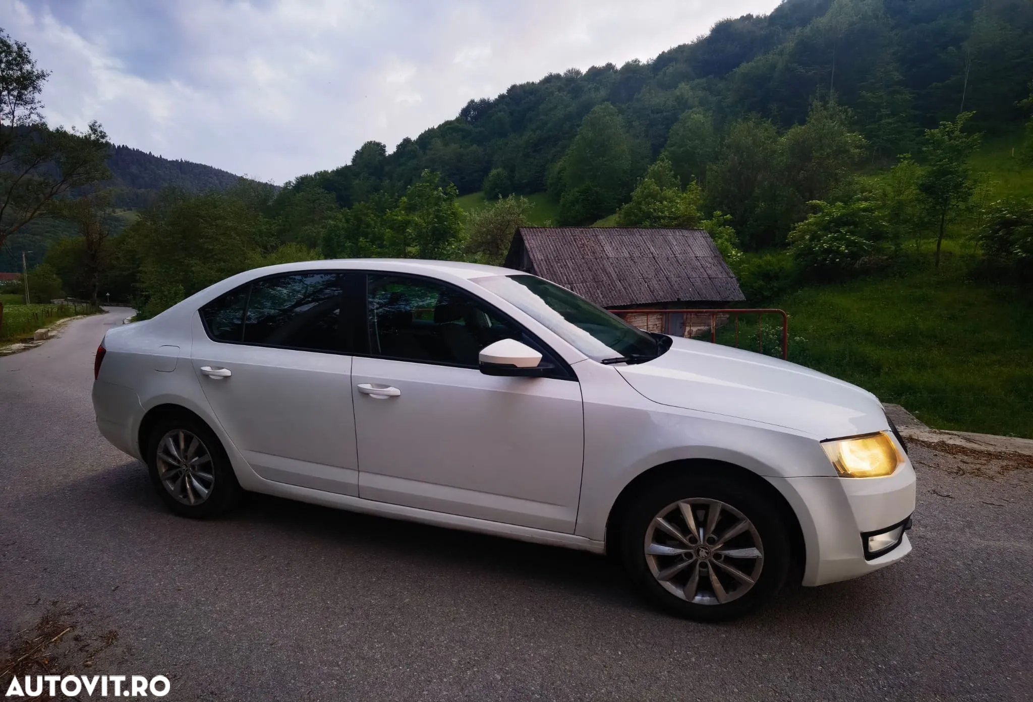 Skoda Octavia 1.6 TDI Classic - 2