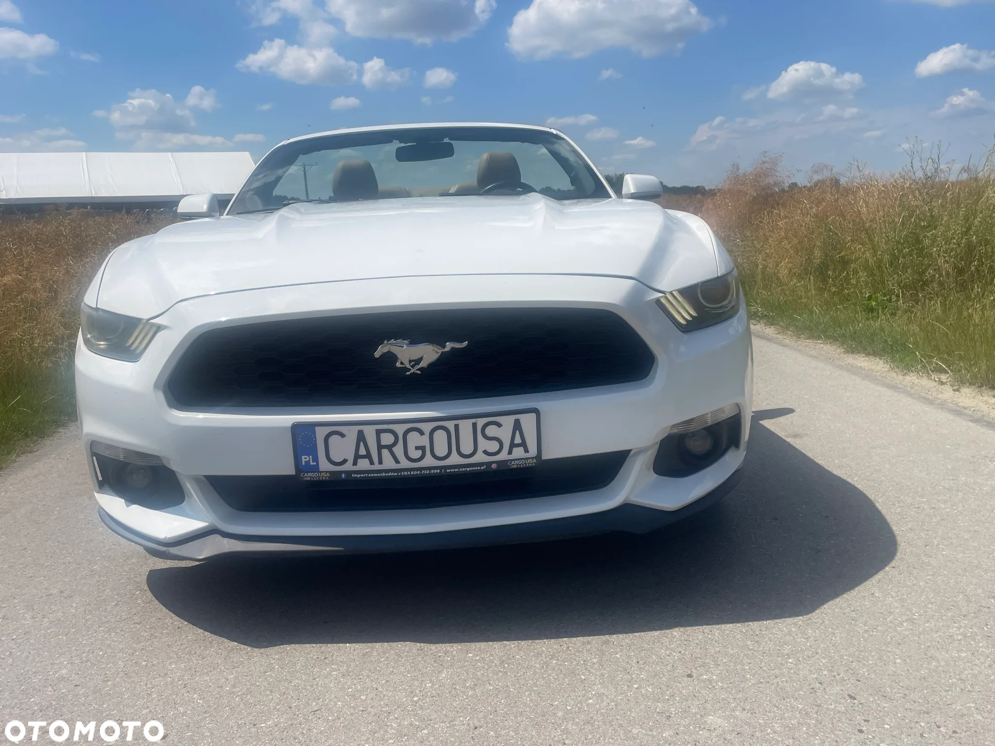 Ford Mustang 3.7 V6 - 5