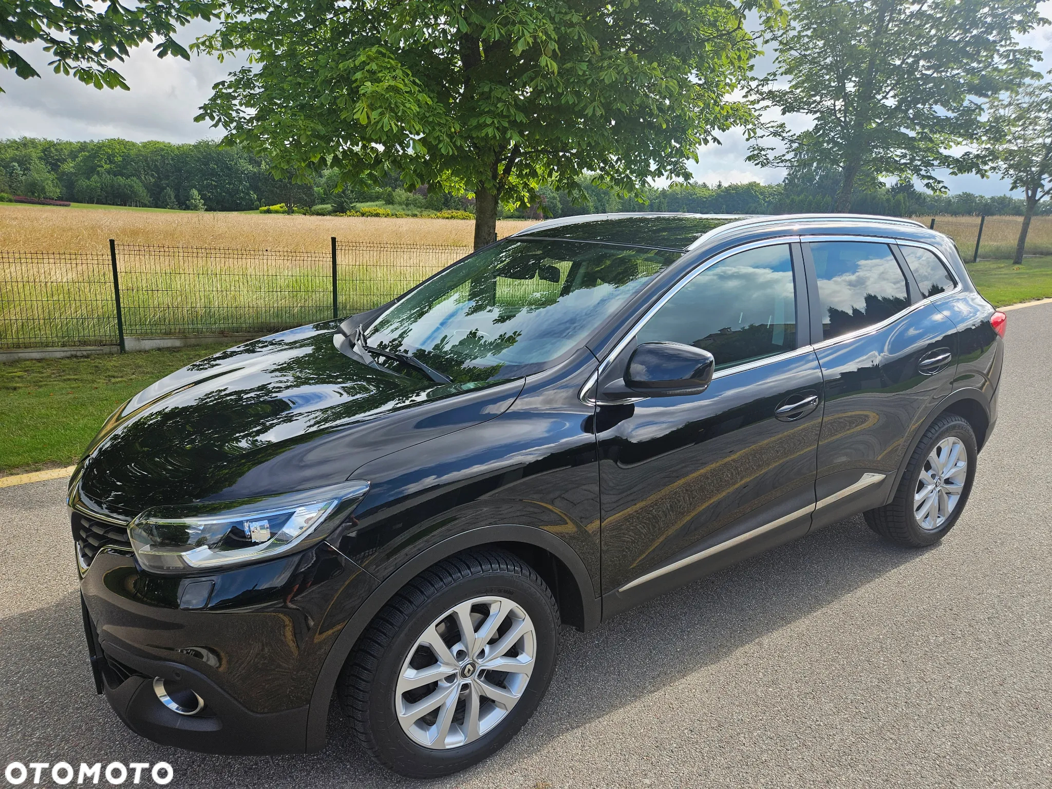 Renault Kadjar 1.6 dCi Energy Business - 7