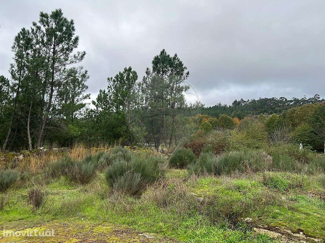 Terreno  para venda - Grande imagem: 4/7