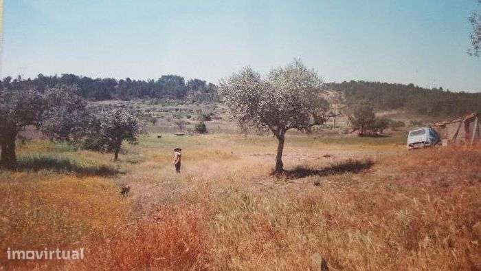 Land /Terreno - Grande imagem: 5/9