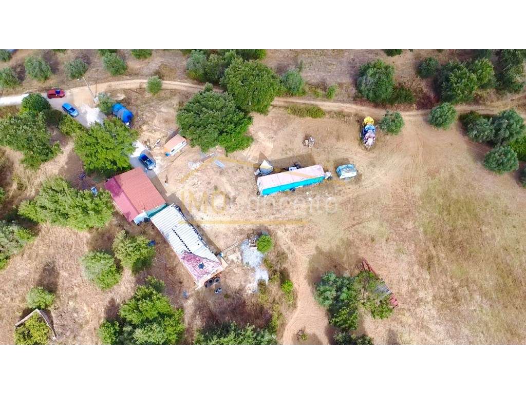 Terreno em Brogueira 20.000m2 Projeto Aprovado + Contentor T2 - Grande imagem: 5/29