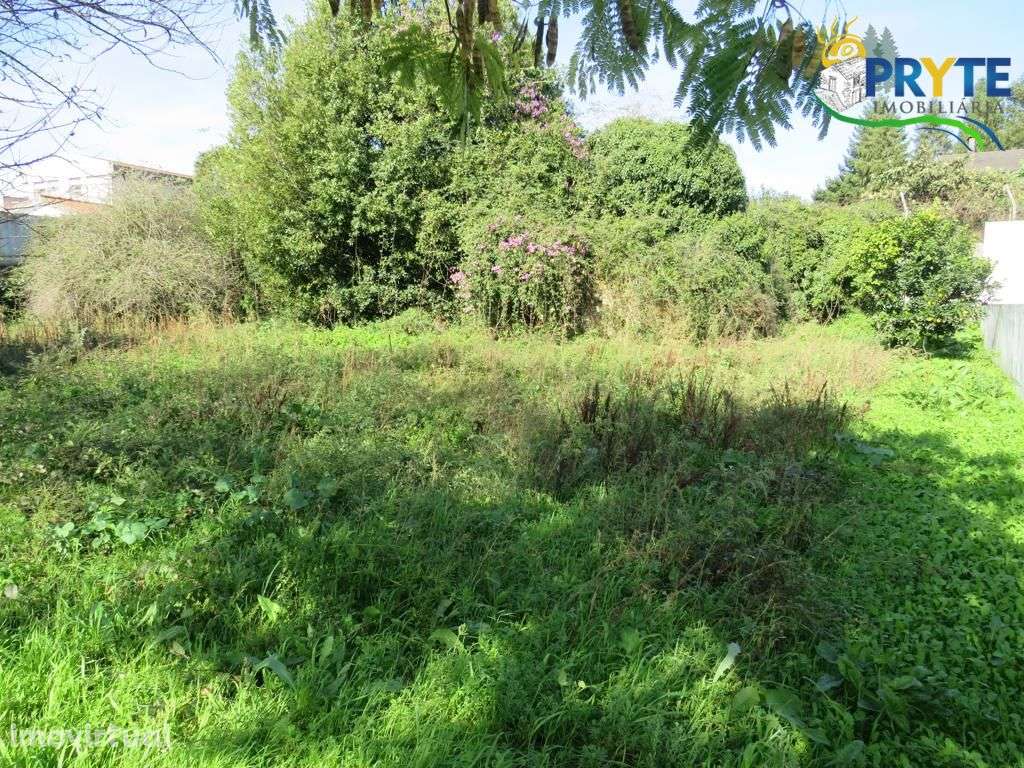 Lote de terreno para construção em Cernache do Bonjardim - Grande imagem: 4/4