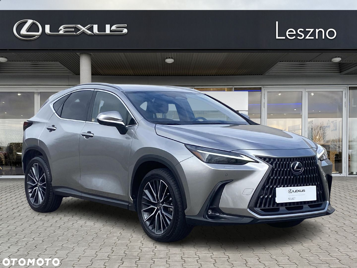 Lexus NX - 5