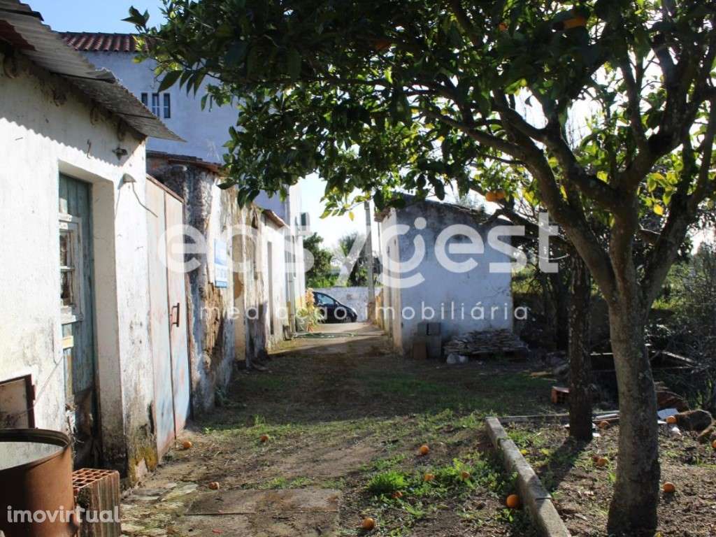 Moradias para recuperar com Logradouro e Terreno - Grande imagem: 2/16