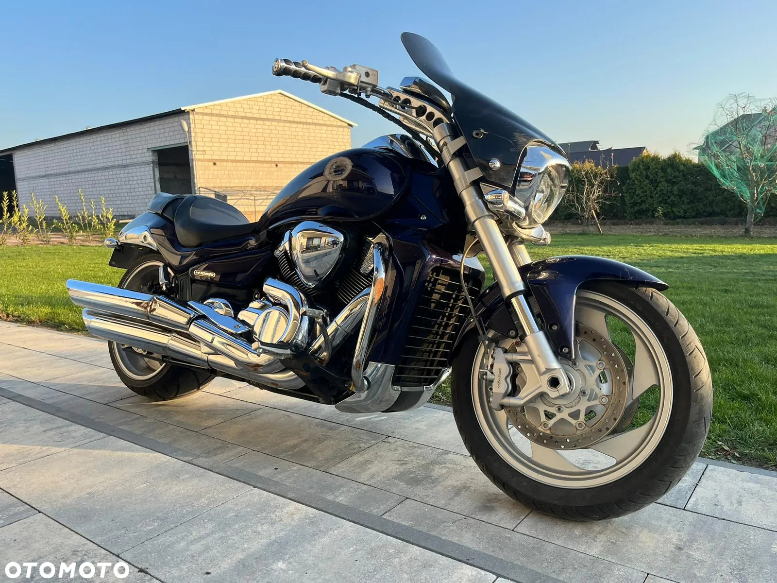 Suzuki Intruder - 10