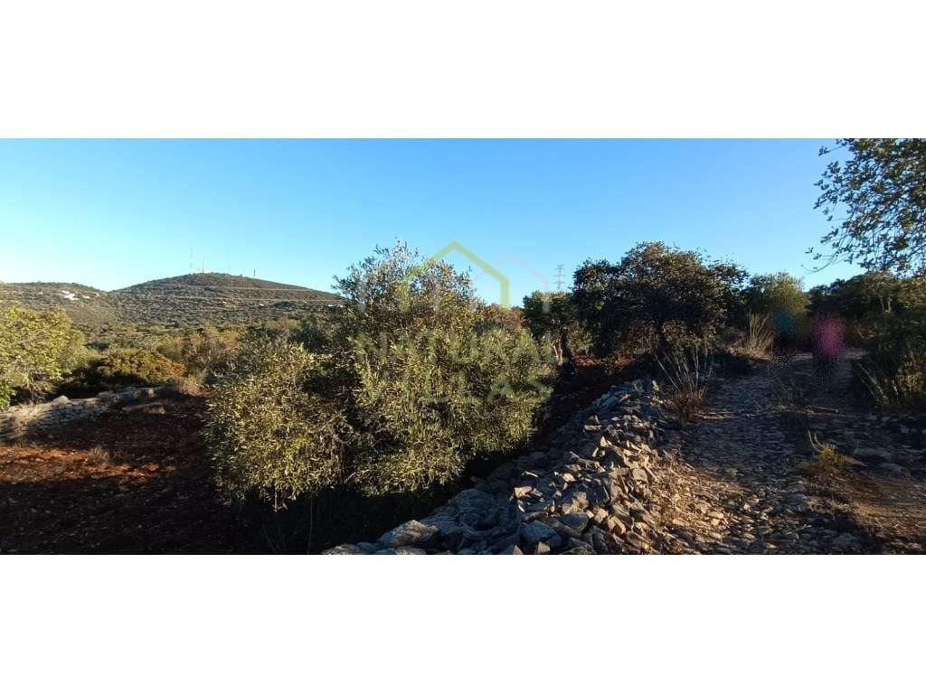 Terreno Rústico em Azinheiro, Estoi - Grande imagem: 4/5