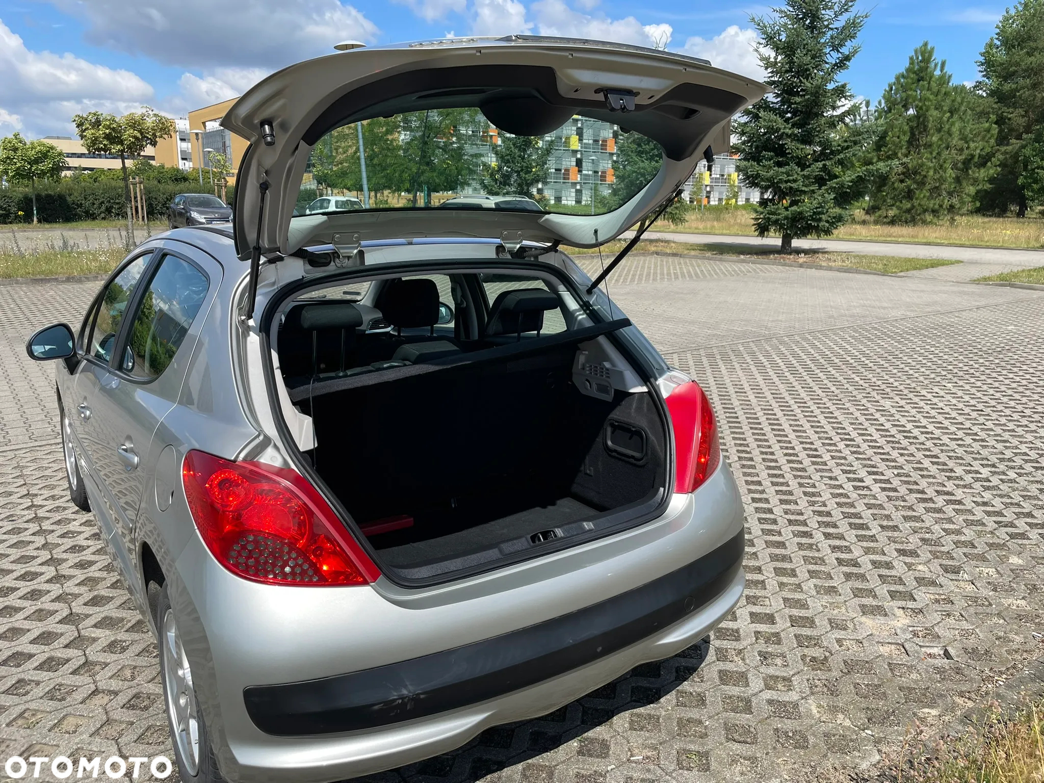 Peugeot 207 - 5