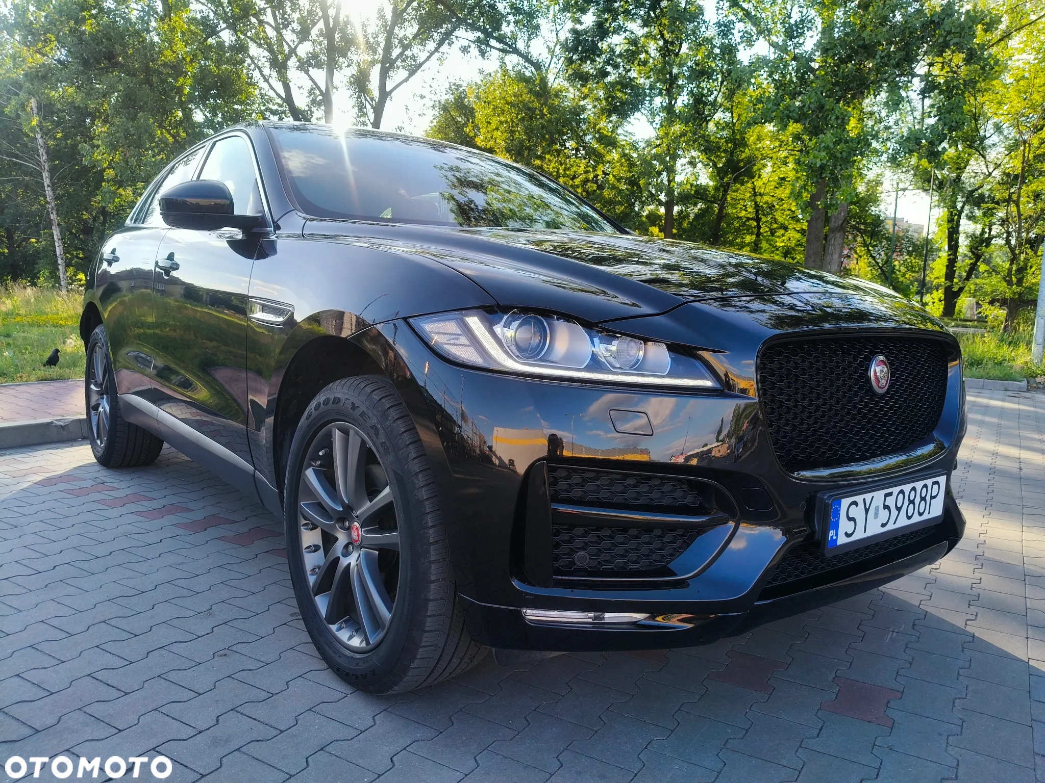 Jaguar F-Pace 2.0 i4D AWD Prestige - 24