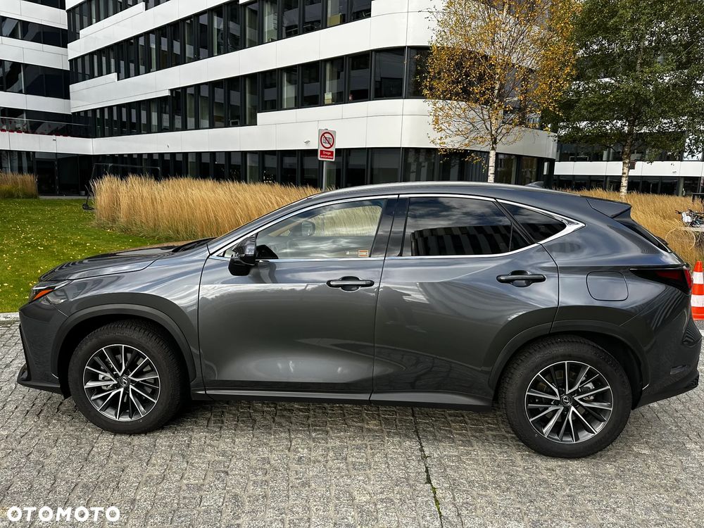 Lexus NX 350h Prestige 2WD - 7