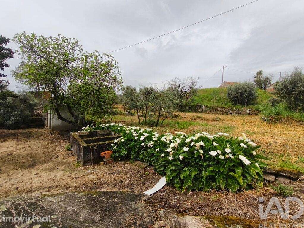 Casa de Campo T3 em Nelas de 6500,00 m2 - Grande imagem: 4/30