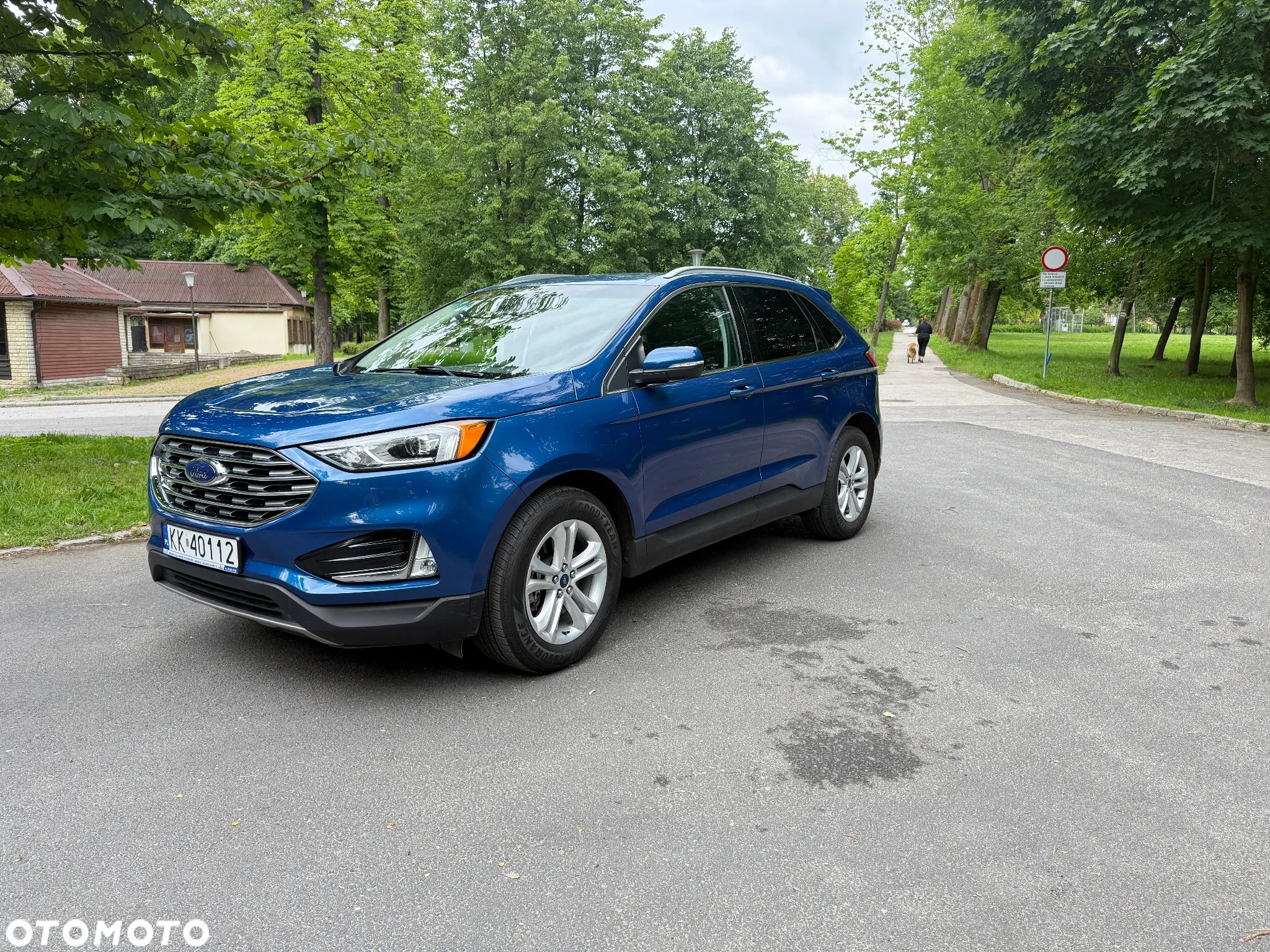 Ford Edge - 1