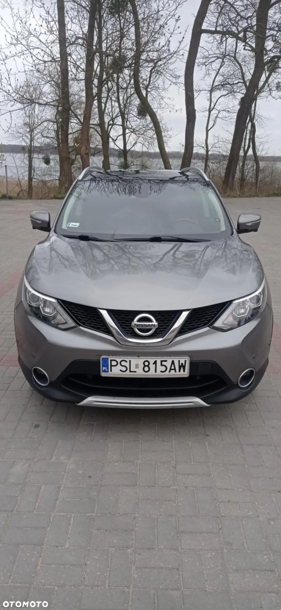 Nissan Qashqai 1.6 DCi 4x4 Tekna - 1