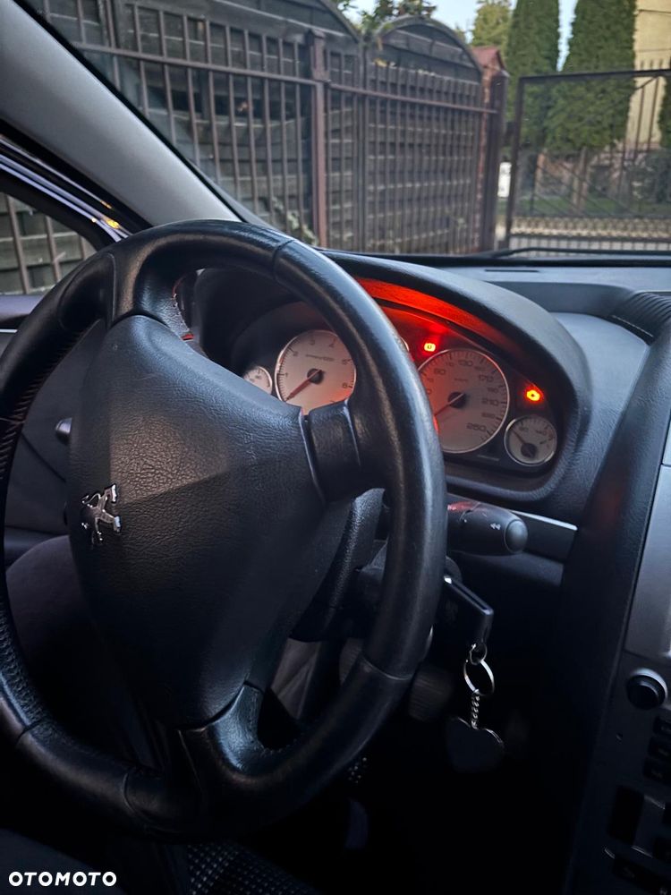 Peugeot 407 - 7