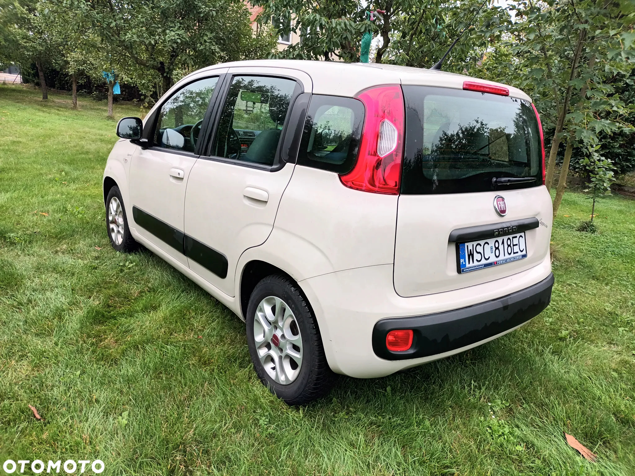 Fiat Panda - 4