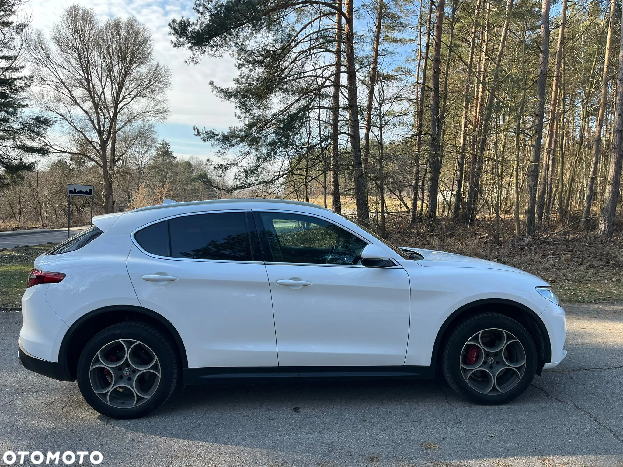Alfa Romeo Stelvio 2.0 Turbo Executive Q4 - 7