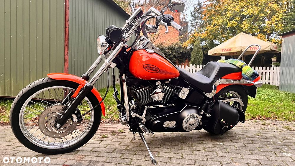 Harley-Davidson Softail Standard - 11