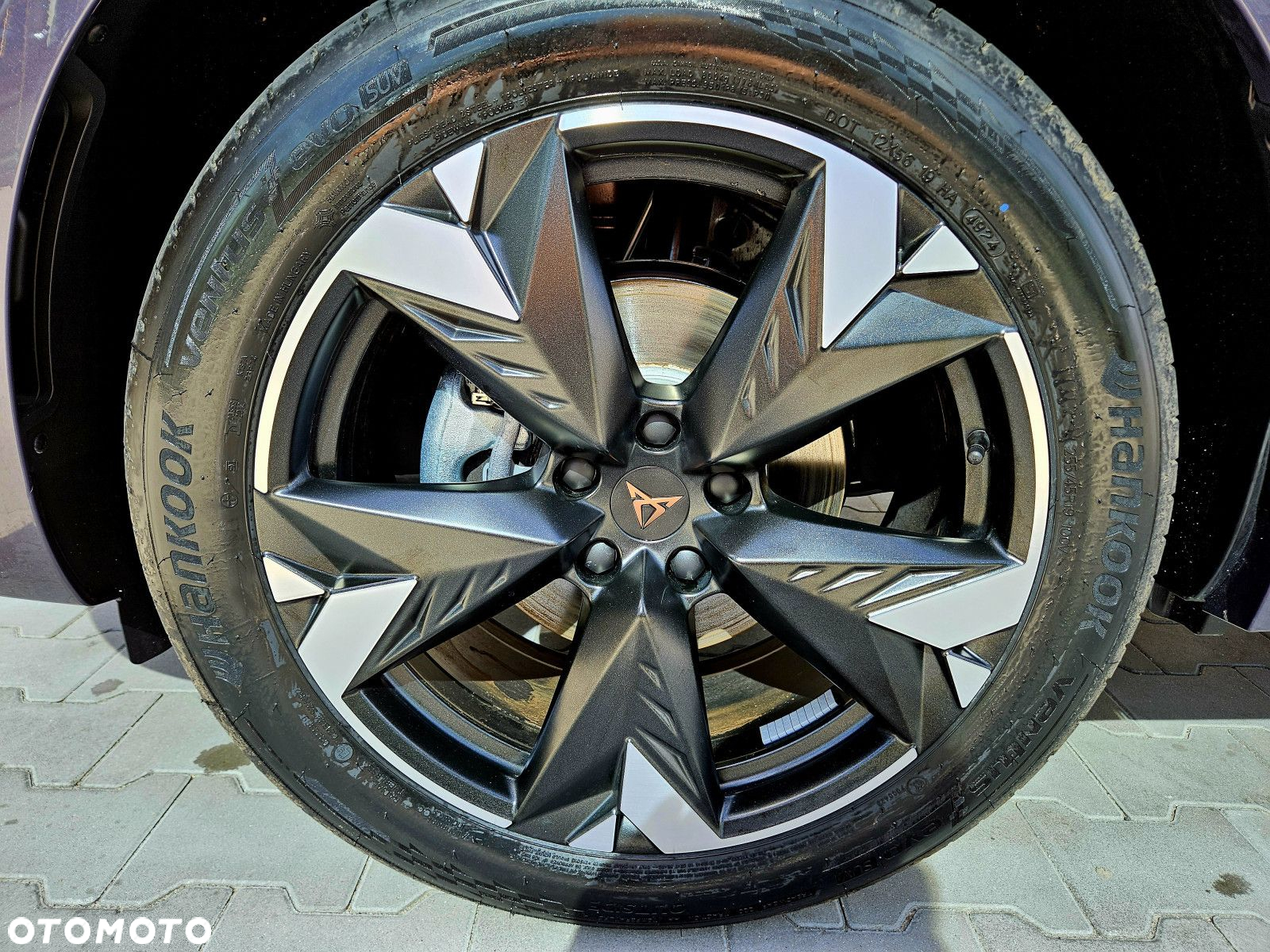 Cupra Terramar - 14