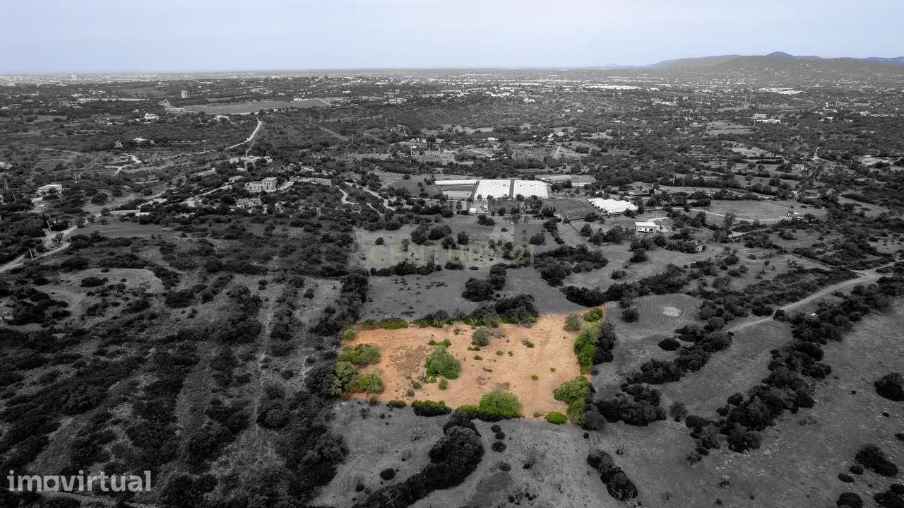Terreno Rústico de 7.580 m² entre Pechão e Estoi - Grande imagem: 4/12