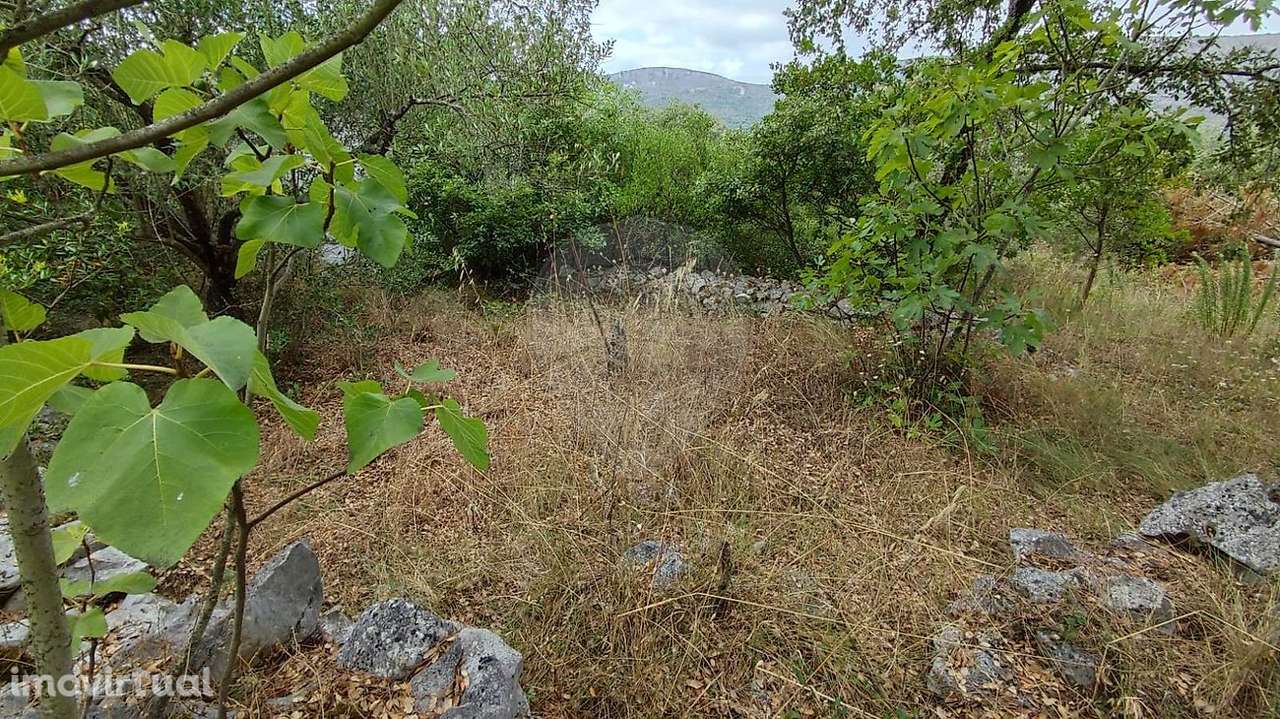 Terreno  para venda - Grande imagem: 5/11