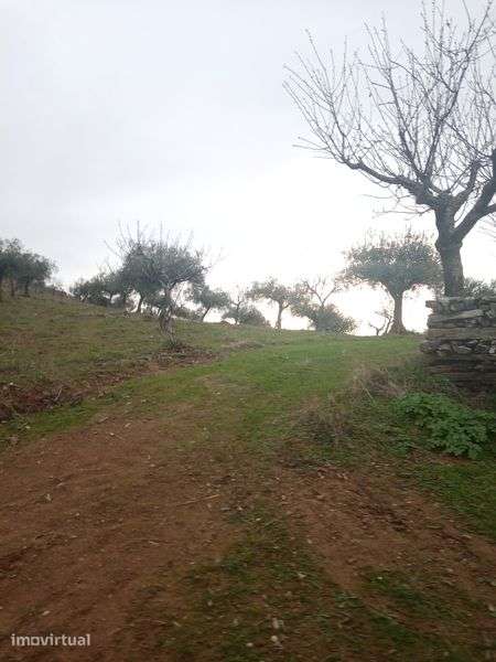Terreno de 0,460 hectares - Grande imagem: 3/5