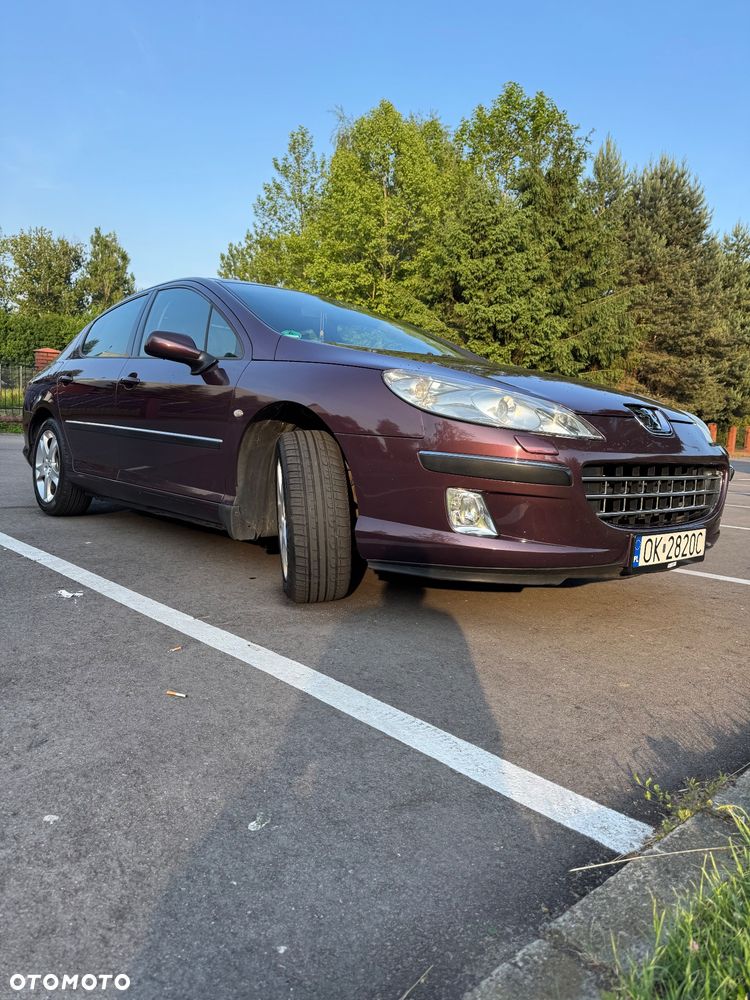 Peugeot 407 - 8