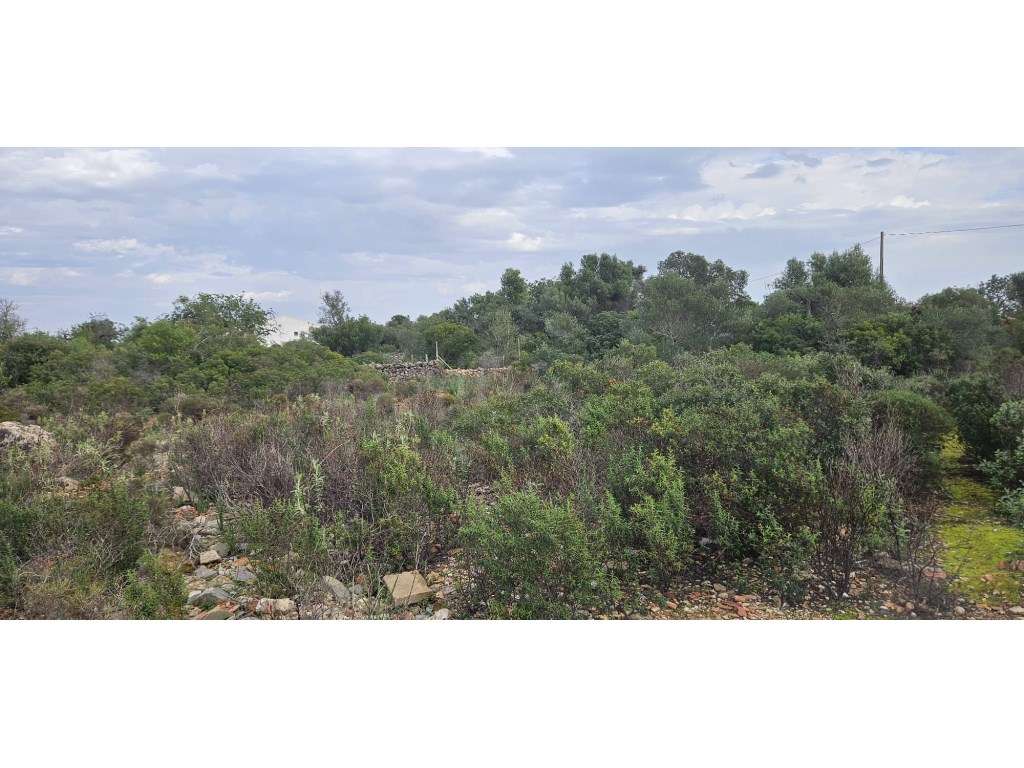 Terreno com ruina em Santa Margarida, Tavira, Algarve - Grande imagem: 2/9