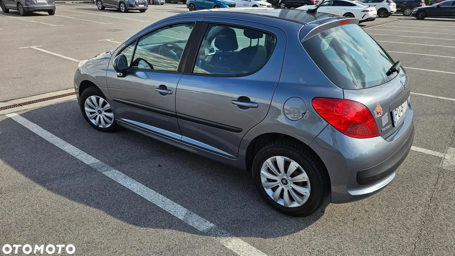 Peugeot 207 - 5