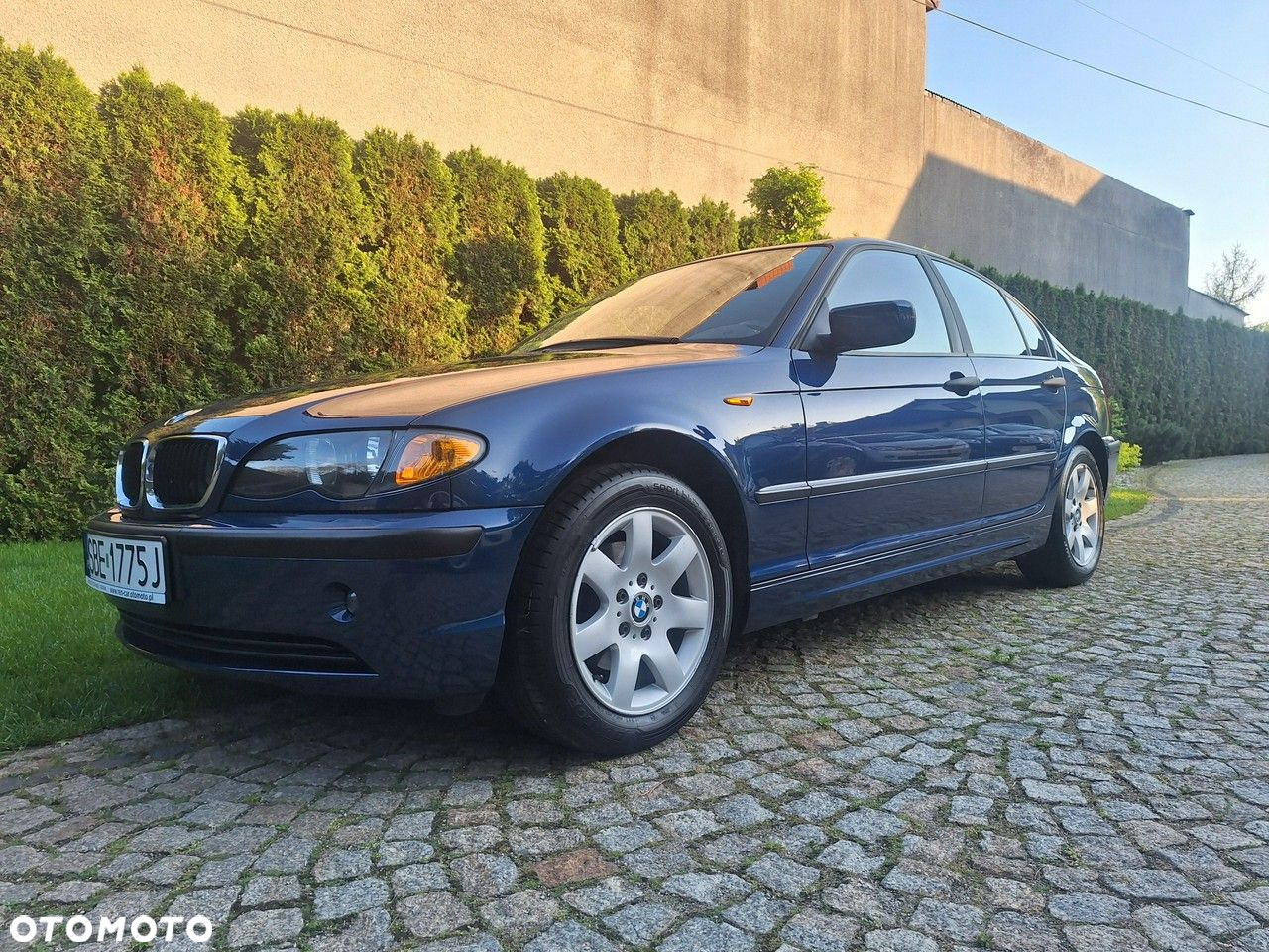 BMW Seria 3 318i Edition Exclusive - 31
