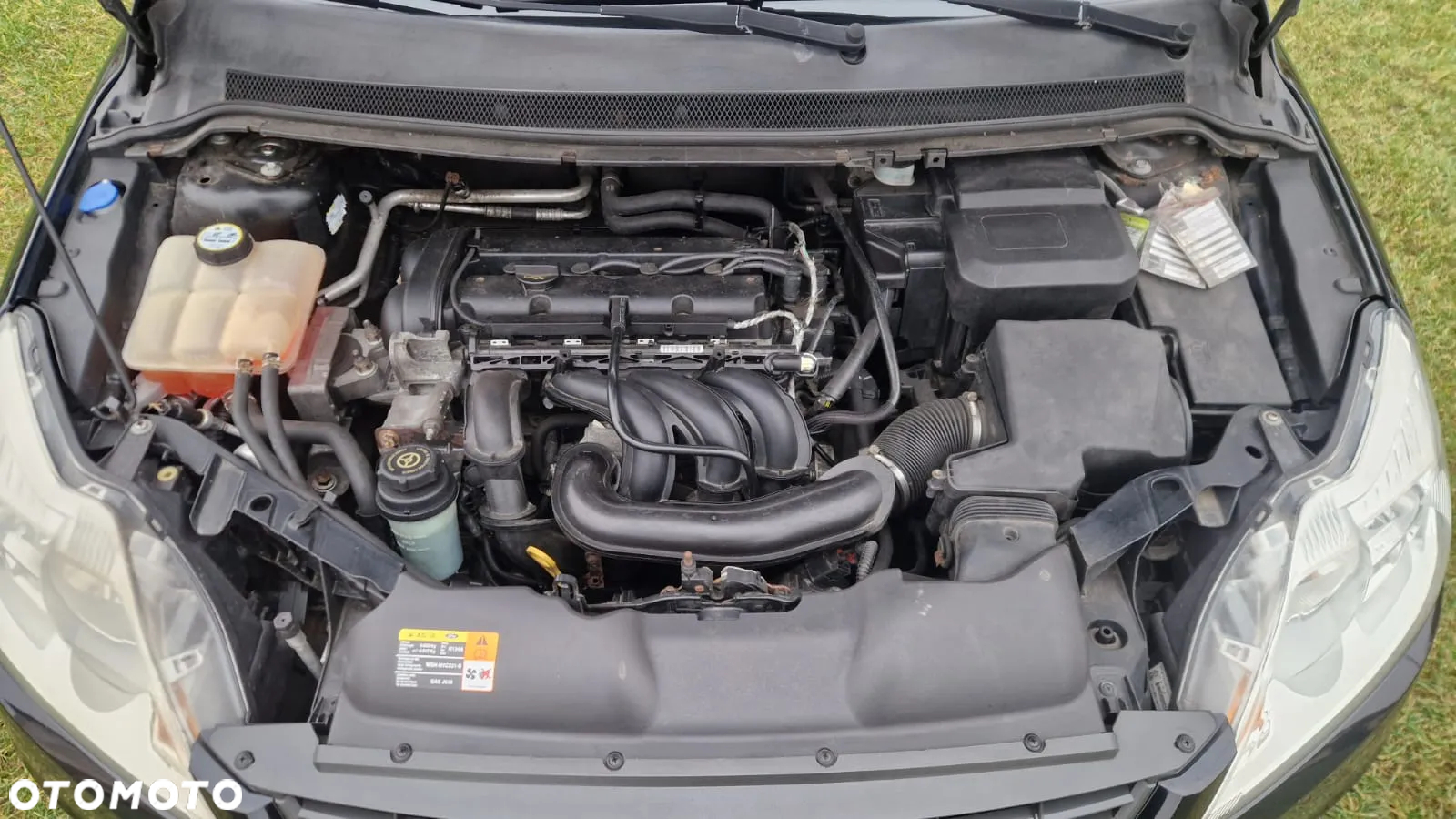 Ford Focus 1.6 Trend - 5